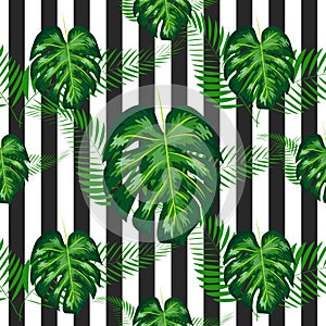 exotic seamless pattern with monstera palm leaves. Tropical hawaiian textile botanical design. Floral backdrop