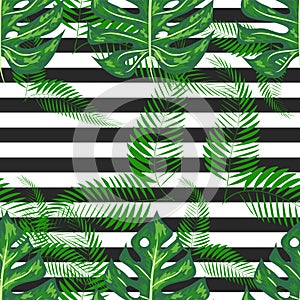 exotic seamless pattern with monstera palm leaves. Tropical hawaiian textile botanical design. Floral backdrop