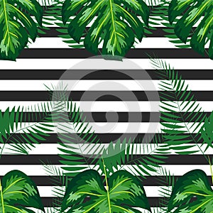 exotic seamless pattern with monstera palm leaves. Tropical hawaiian textile botanical design. Floral backdrop