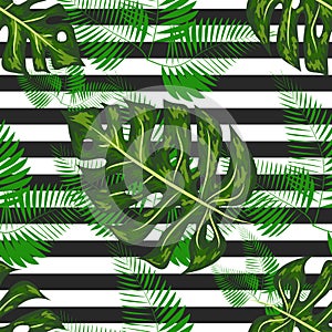 exotic seamless pattern with monstera palm leaves. Tropical hawaiian textile botanical design. Floral backdrop