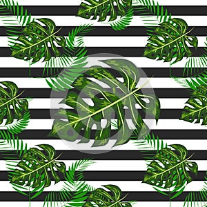 exotic seamless pattern with monstera palm leaves. Tropical hawaiian textile botanical design. Floral backdrop