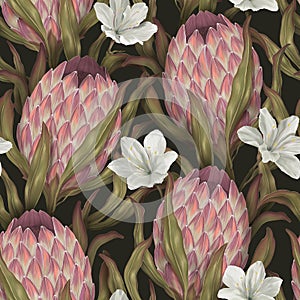 Exotic seamless pattern. Tropical floral wallpaper. Dark background, pink proteus flowers, white lilies