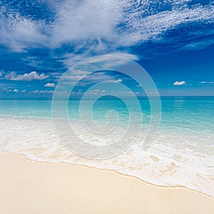 Exotic seascape shore. Beautiful sea sand sky waves of deserted Indian ocean sandy beach, Maldives. Idyllic summer nature