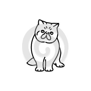 Exotic shorthair cat black line icon. Farm animals.