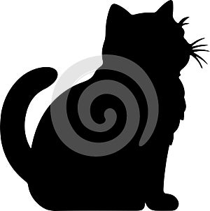 Exotic Shorthair Cat Black Silhouette Generative Ai