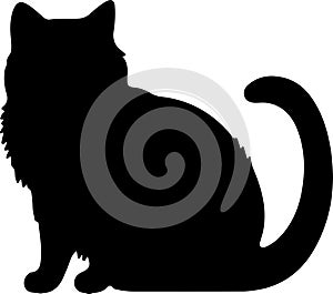 Exotic Shorthair Cat Black Silhouette Generative Ai