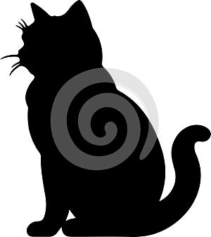 Exotic Shorthair Cat Black Silhouette Generative Ai