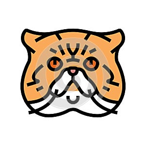 exotic shorthair cat cute pet color icon vector illustration