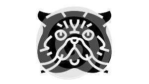 exotic shorthair cat cute pet glyph icon animation