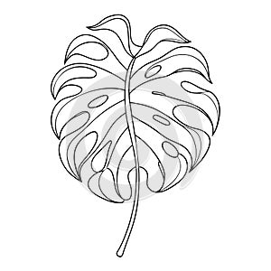 exotic single leaf drawn single black line