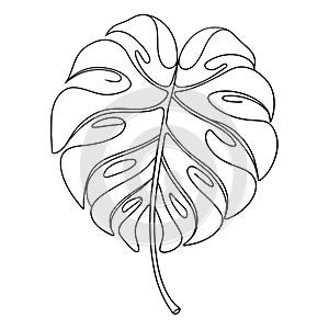 exotic single leaf drawn single black line