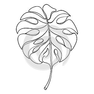 exotic single leaf drawn single black line