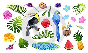 Tropical objects set