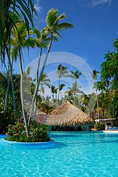 Exotic swimming pool in Dominican Republic,
