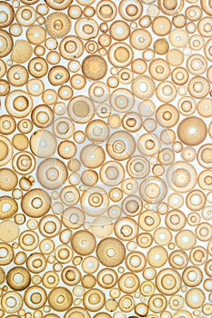 Exotic texture pattern of bamboo cross section filled with hardening enamel