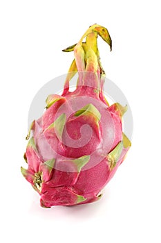 Exotic Thai Fruit Dragon fruit - Geow Mangon
