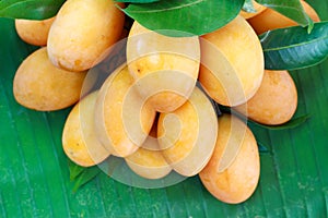 Exotic Thai Fruit. Maprang, Marian plum