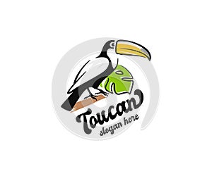 Exotic toucan bird sits on a tree branch in the rainforest jungle design. Tropical toucan bird in natural wildlife environment