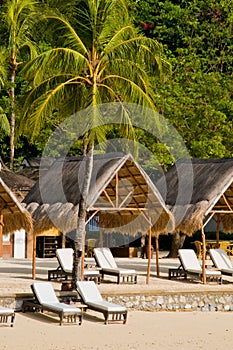 Exotic Tropical Beach Beds