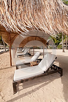 Exotic Tropical Beach Beds at Sea Shore