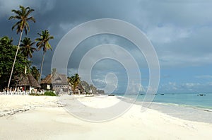 Exotic Tropical beach summer morning in Zanzibar