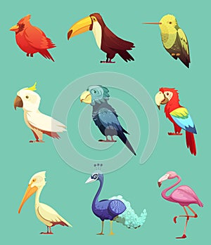 Exotic Tropical Birds Retro Icons Set