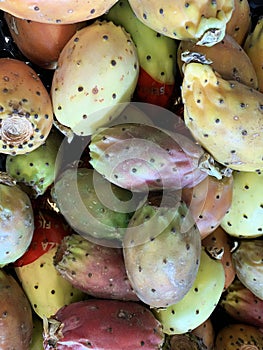 Exotic tropical cactus fruits Fichi d'India.