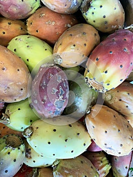 Exotic tropical cactus fruits Fichi d\'India. photo