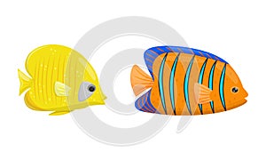 Exotic Tropical Fish of Different Shapes and Colors Vector Set