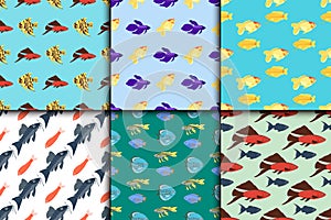 Exotic tropical fish seamless pattern colors underwater ocean species aquatic nature flat isolated vector illustration