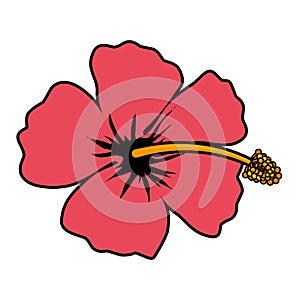 exotic tropical flower icon