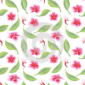 Exotic tropical flowers hibiscus frangipani and green leaves seamless pattern