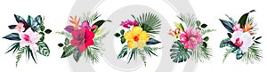 Exotic tropical flowers, orchid, strelitzia, hibiscus, bougainvillea, gloriosa, palm, monstera