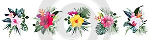 Exotic tropical flowers, orchid, strelitzia, hibiscus, bougainvillea, gloriosa, palm, monstera photo