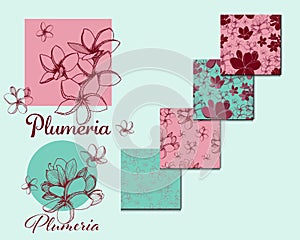 Exotic tropical flowers. Plumeria collection
