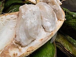 Exotic tropical fruit called guama photo