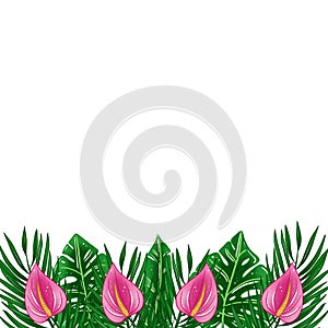 Exotic tropical jungle rainforest bright green palm tree and monstera leaves border frame template on white background
