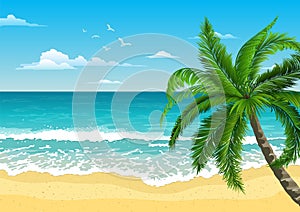 Exotic tropical  landscape with  palm. Seascape with waves, cloudy sky and seagulls.  Tourism and travelling.