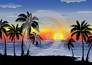Exotic tropical  landscape with  palms. Palm trees at sunset or moonlight. Seascape. Tourism and travelling.