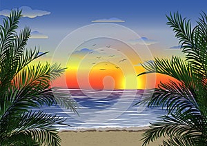 Exotic tropical  landscape with  palms. Palm trees at sunset or moonlight. Seascape. Tourism and travelling.