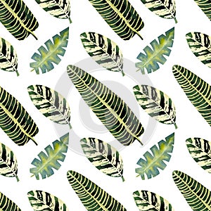 Exotic tropical leaves. Seamless pattern on white isolated background. Fashion beach art print Wallpaper. Watercolor illustration