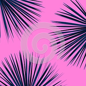 Exotic tropical palm leaves. Botanical leaves on millenial pink background. Exotic background