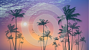 Exotic tropical palm trees at sunset or moonlight, with cloudy