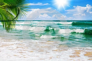 Exotic tropical paradise island sand beach, turquoise sea water ocean waves, green palm tree leaves, sun, blue sky white clouds