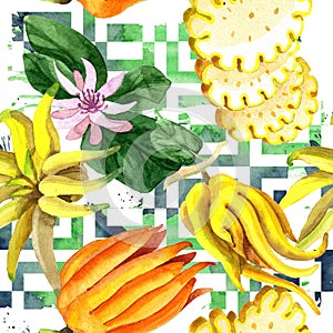 Exotic tropical plant wild fruit in a watercolor style isolated. Seamless background pattern.