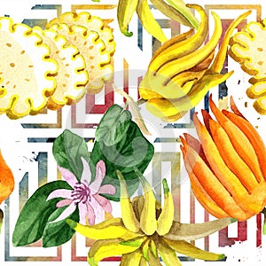 Exotic tropical plant wild fruit in a watercolor style isolated. Seamless background pattern.