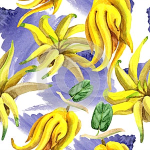 Exotic tropical plant wild fruit in a watercolor style . Seamless background pattern.