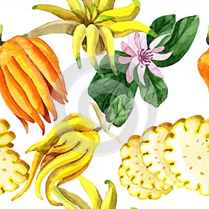 Exotic tropical plant wild fruit in a watercolor style . Seamless background pattern.