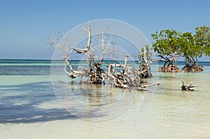 Exotic view of beach