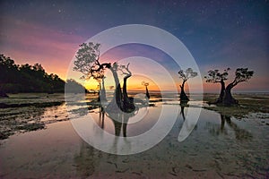 Walakiri Beach, Sumba Island, Indonesia photo